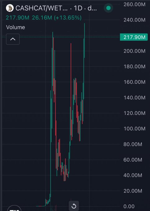 The image shows a daily TradingView volume chart for the CASH/CAT (WET) trading pair, displaying a 13.65% increase with 26.16M volume against 217.90M, featuring dramatic green and red volume spikes consistent with the post's celebration of $CASHCAT reaching new all-time highs as a potential multi-billion dollar meme coin runner.