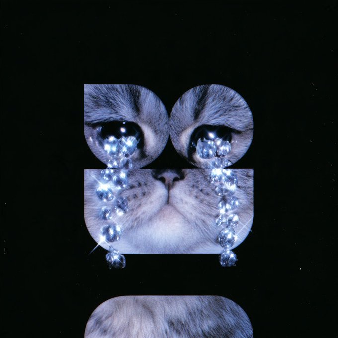 A surreal collage features a cat's face cut into geometric shapes, with glowing crystal-like tears dripping from its eyes against a black background.
