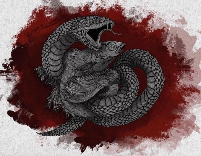 An artistic illustration of a snake coiled around a fish, rendered in grayscale against a dark red watercolor-style background.