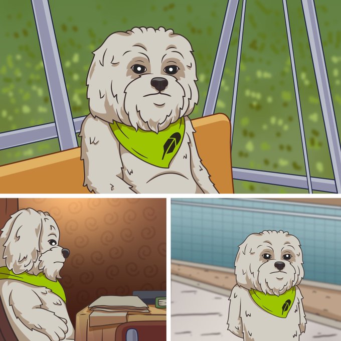 An illustration composed of three panels showing a fluffy white dog wearing a bright green bandana in various settings.