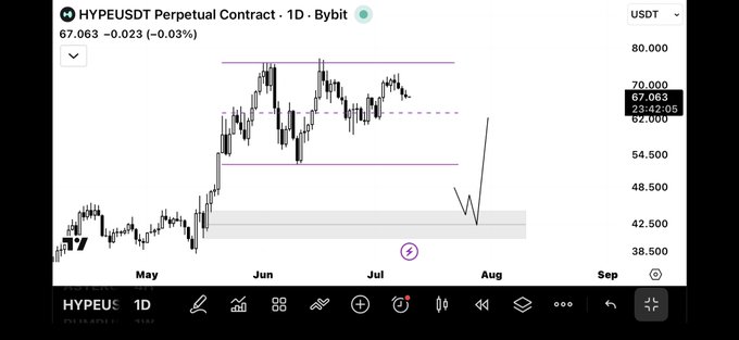 A 1-day candlestick chart of the HYPE/USDT perpetual contract on Bybit shows the price at 67.063 (-0.03%), with a hand-drawn projected dip down toward a gray support zone around $42.500 before bouncing back up—aligning with the poster's bullish "fill my Spot bags" thesis that seeks a deeper retrace as a buying opportunity.