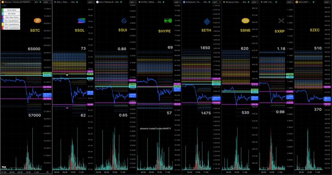 A multi-panel cryptocurrency trading dashboard from TradingView displays Binance liquidation heatmap levels for major pairs (BTC, SOL, SUI, HYPE, ETH, BNB, XRP, ZEC), with each panel showing current prices like 65000, 73, 0.80, 69, 1850, 620, 1.18, and 510 above colorful liquidation level visualizations. The charts are timestamped at 11:30am June 25th, matching the referenced Binance liquidation levels stream.