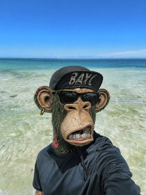 The image features a person wearing a monkey mask, standing at the edge of a body of water with their face partially hidden by the mask. The person appears to be posing for a photo or taking part in some sort of event related to BAYC (Bay Area Rebel Crew). The background includes a beach and ocean, creating an atmosphere that complements the monkey mask's theme.
