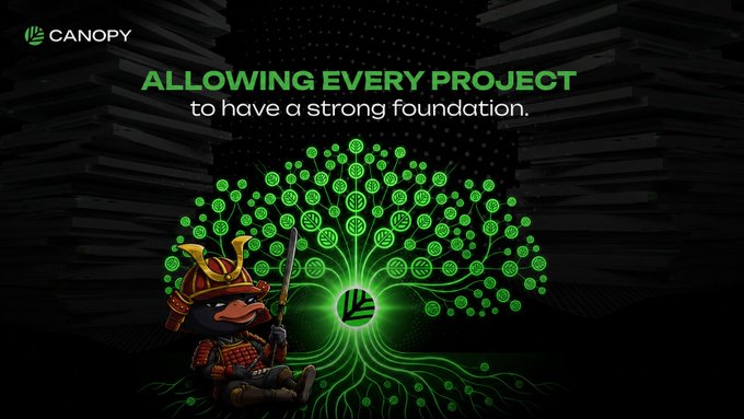 A 'Canopy' promotional graphic with the tagline 'ALLOWING EVERY PROJECT to have a strong foundation,' featuring a samurai duck character beside a green tree logo.