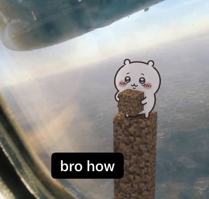 A meme featuring a cute cartoon character holding a Minecraft block atop a pillar in a Minecraft world, with the caption 'bro how'.
