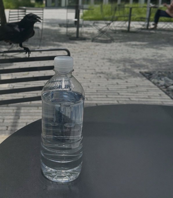 A black crow perched on a metal railing on a paved outdoor area, with a clear plastic water bottle sitting on a dark round table in the foreground.