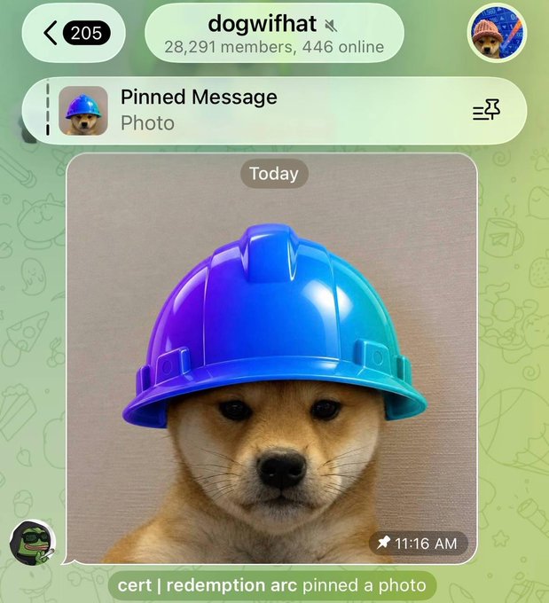 A screenshot from the "dogwifhat" Telegram group (28,291 members, 446 online) shows a pinned photo of a Shiba Inu wearing a colorful blue and purple hard hat, with user "cert | redemption arc" pinning the image at 11:16 AM, which aligns with the post's mention of the community embracing the $SOLCAT meme theme.