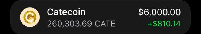 The image displays a cryptocurrency portfolio widget showing a holding of 260,303.69 Catecoin (CATE) valued at $6,000.00, with a profit of +$810.14. It appears to be used as "proof" to promote a giveaway promising to send $6,000 worth of CATE to 20 lucky followers.