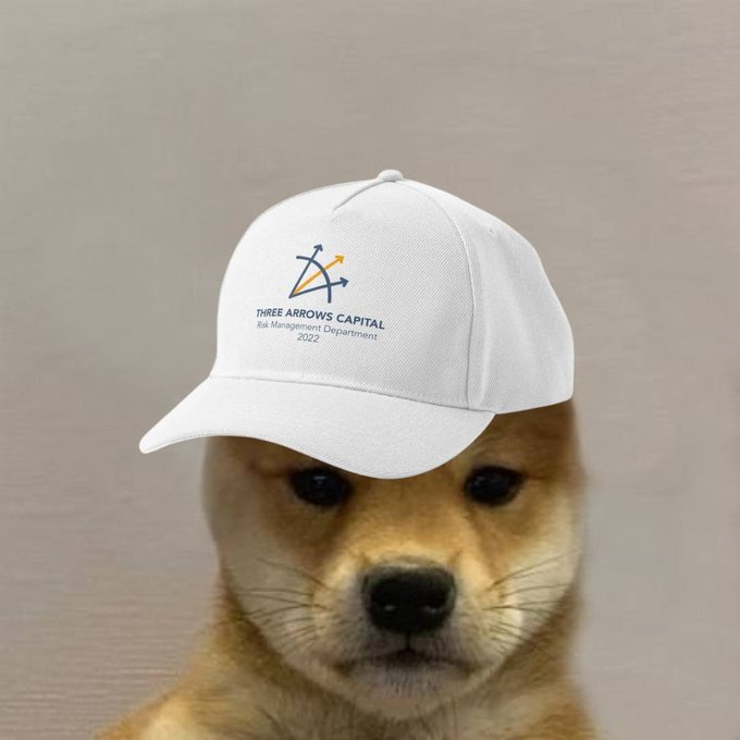 A Shiba Inu dog wears a white baseball cap featuring the "THREE ARROWS CAPITAL" logo, with text reading "Risk Management Department, 2022" beneath a stylized three-arrow emblem.