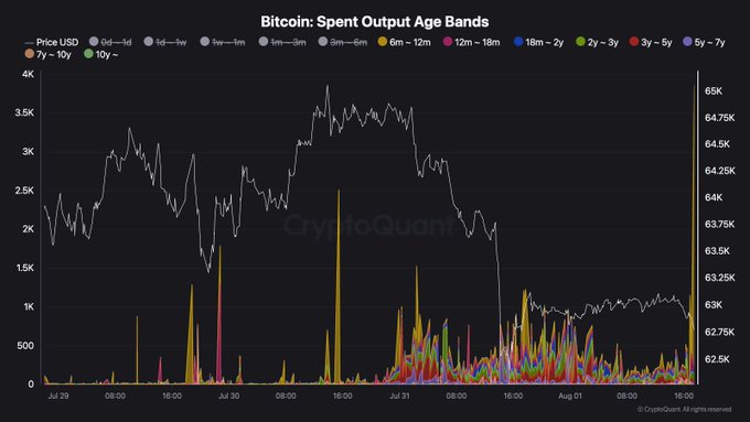 The image is a CryptoQuant chart titled "Bitcoin: Spent Output Age Bands," tracking Bitcoin's price (around $62.25K–$65K) alongside spent output volume across various age cohorts from 0d–1d to 7y–10y between July 29 and August 1. The notable spike in the 6m–12m age band (orange) supports the post's claim, as it reflects long-term holder coins moving on-chain in the latest block.