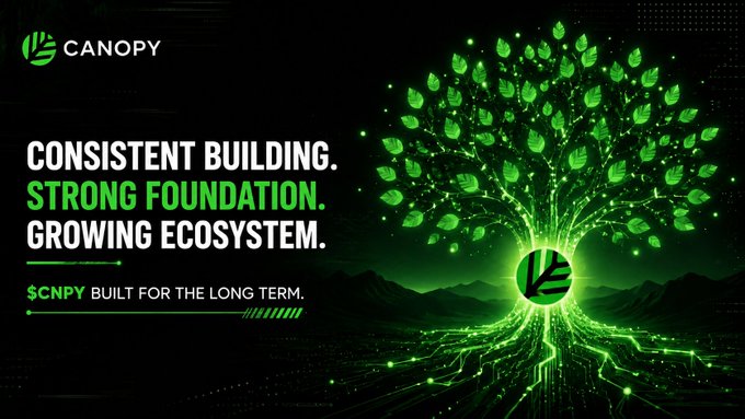 A promotional graphic for "CANOPY" ($CNPY) with the text "CONSISTENT BUILDING. STRONG FOUNDATION. GROWING ECOSYSTEM." and "BUILT FOR THE LONG TERM." beside a glowing green digital tree.