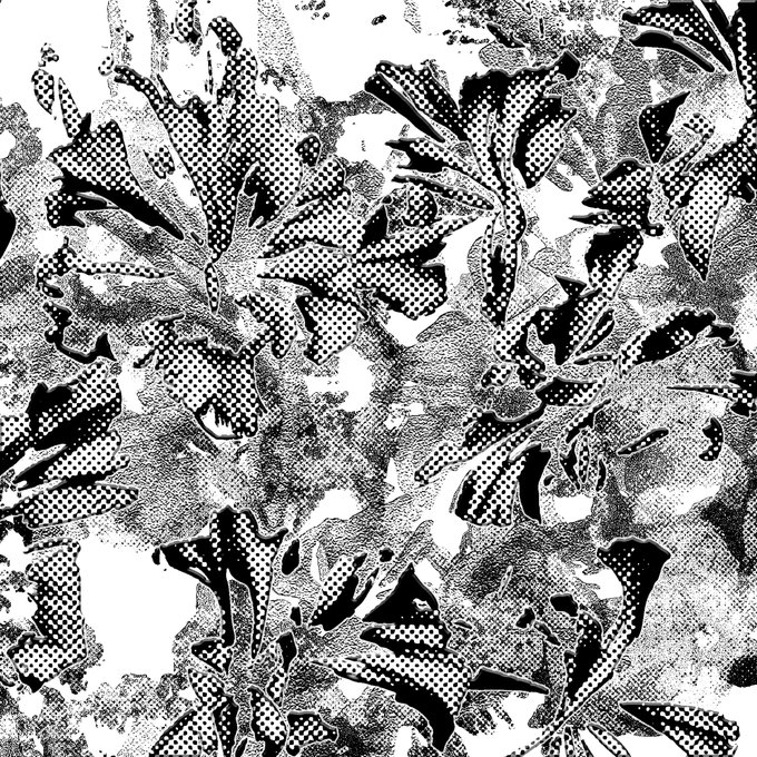 A high-contrast black and white digital artwork featuring stylized botanical motifs (leaves and flowers) rendered in a halftone dotted pattern against a grainy, textured background, consistent with the post's focus on shadow and NFT art on the Tezos/Objkt platform.