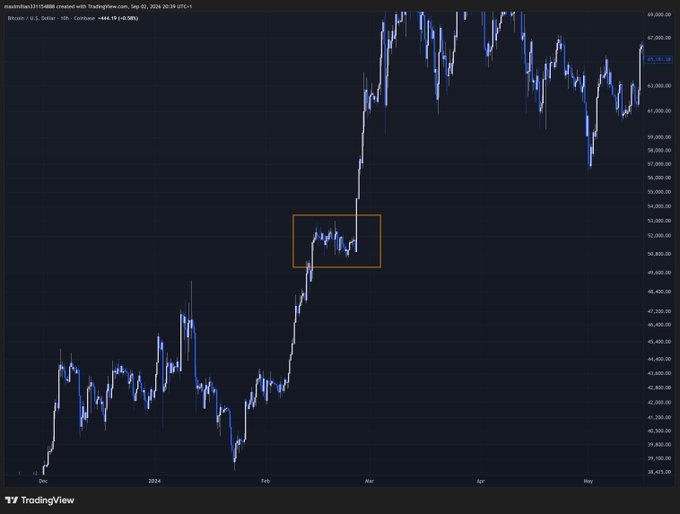 A TradingView BTC/USD daily candlestick graph with a +446.19 gain, showing Bitcoin's 2024 price action with a highlighted consolidation zone around $52,000 where bearish sentiment preceded a massive rally toward $67,000, supporting the post's comparison between the current price action and the pre-pump setup in early 2024.