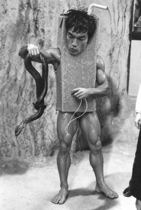 A vintage black-and-white photo of Bruce Lee in a training scene wearing a wooden 'Roman column' apparatus over his torso while holding a snake.