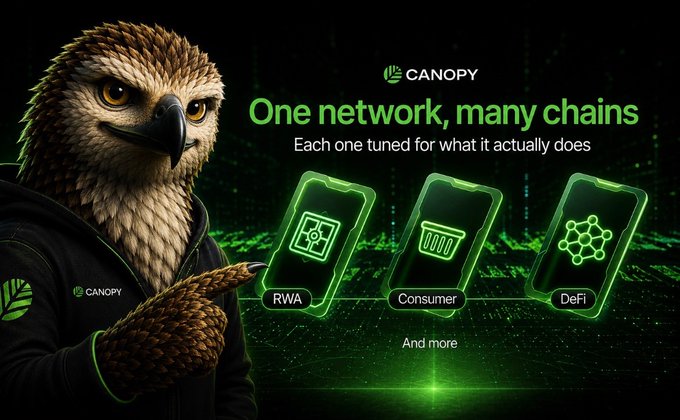 A Canopy cryptocurrency promotional image with an anthropomorphic hawk/eagle mascot, reading 'One network, many chains — Each one tuned for what it actually does', showing three phone icons labeled RWA, Consumer, and DeFi.