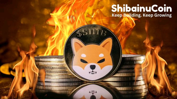 A promotional image for ShibainuCoin cryptocurrency featuring a Shiba Inu coin among stacks with the tagline 'Keep Building, Keep Growing.'