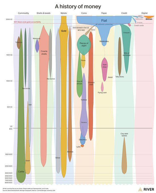 A historical timeline chart titled "A history of money" tracks the evolution of currency from 9000 BCE to present day across categories like Commodity, Shells & beads, Metals, Coins, Paper, Credit, and Digital—highlighting milestones such as the 1971 Nixon gold convertibility end and the rise of Bitcoin—visually reinforcing the "Evolve or die #crypto" message by framing cryptocurrency as the next stage in money's progression beyond fiat currency.