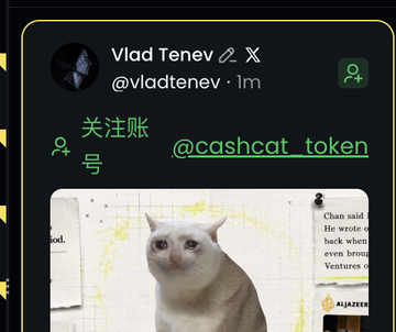 A tweet from Vlad Tenev (@vladtenev) showing a "Follow" prompt for the @cashcat_token account, paired with an image of a white cat next to "He wrote" and "Ventures" text, used to promote the $HOODRAT token's alleged price surge following his follow.