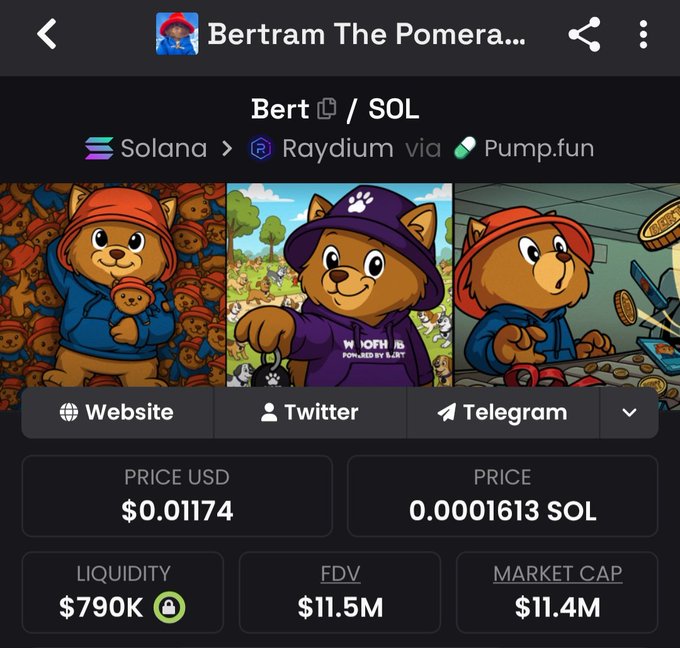 The image shows a cryptocurrency tracking page for "Bertram The Pomeranian" (BERT) on the Solana blockchain via Raydium/Pump.fun, displaying a price of $0.01174 (0.0001613 SOL) with $790K liquidity, $11.5M FDV, and $11.4M market cap, alongside three cartoon illustrations of a Pomeranian dog in various outfits.

This visual supports the post's claim by providing concrete on-chain metrics (liquidity, market cap, and price) that substantiate the argument for $BERT being in an early "accumulation zone" before its potential growth to "hundreds of millions."