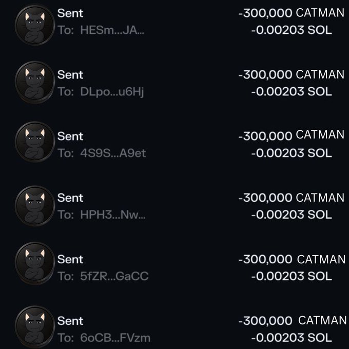 A screenshot of cryptocurrency transactions showing multiple 'Sent' transfers of -300,000 CATMAN and -0.00203 SOL each to various wallet addresses.