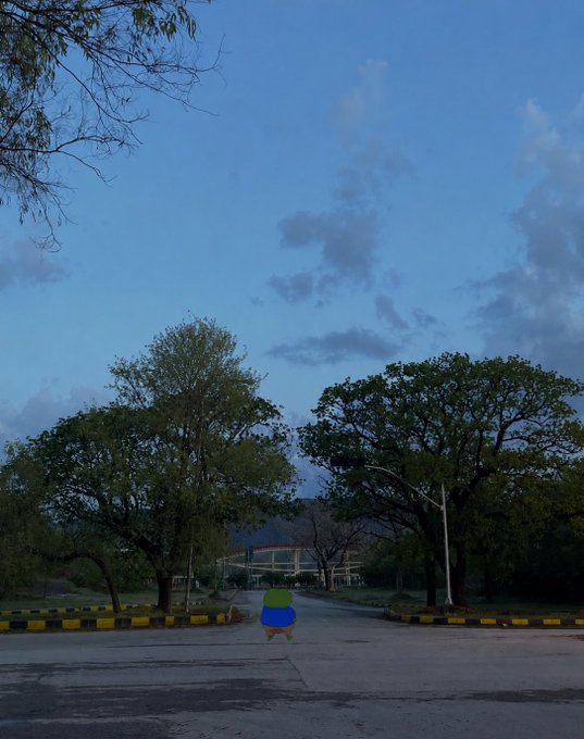 A small Pikachu-like character walking down a tree-lined road under a blue sky at dusk.