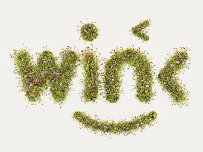 The word 'WOW' spelled out in grass and wildflowers with a smiley face design, where the O's serve as eyes and a curved grassy shape forms a smiling mouth below.