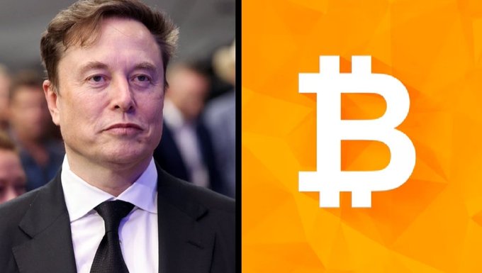 The image shows Elon Musk alongside the Bitcoin logo, visually reinforcing the post's message that SpaceX (and by extension Musk's ventures) has held firm on its 18,712 BTC holdings rather than selling during market volatility. The side-by-side composition links the influential figure to Bitcoin's resilience narrative.