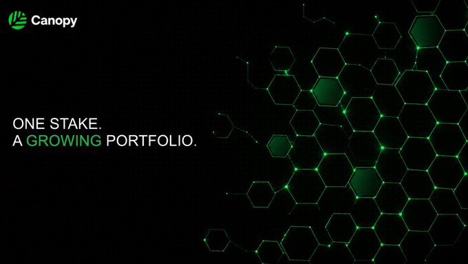 A Canopy promotional graphic with the tagline 'ONE STAKE. A GROWING PORTFOLIO.' featuring a green hexagonal network design on a black background.