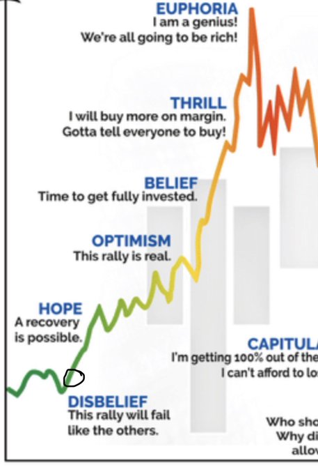 An illustrated market psychology chart depicting the emotional cycle of investing, labeling stages from Disbelief and Hope up through Optimism, Belief, Thrill, and Euphoria, then crashing down to Capitulation.