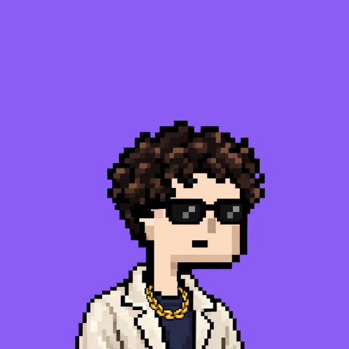 A pixel art portrait of a person with curly brown hair, dark sunglasses, and a gold chain necklace against a solid purple background.
