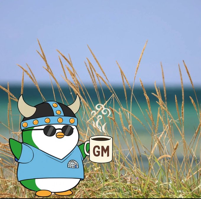 A cartoon penguin wearing a viking helmet, sunglasses, and a blue tunic holds a steaming white mug labeled 'GM' against a backdrop of beach grass.