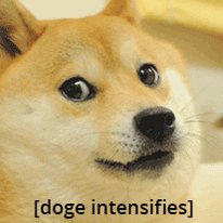 The image features a brown dog with a surprised expression, looking at the camera. The caption reads "Doge intensees" which seems to be a reference to the popular meme about the Dogecoin coin. The image also includes an explanation of what a value extortionist is and how it relates to the Dogecoin coin.