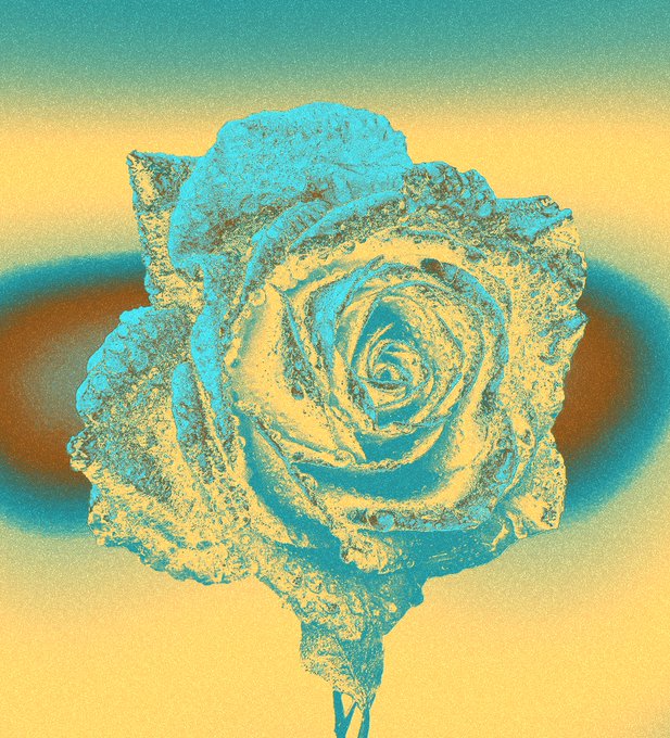 A turquoise and gold rose, rendered with textured, dewy details against a soft gradient background, visually captures the "Frozen Bloom" artwork—now live on @xrpcafe as part of the Hues of Life series—portraying a rose suspended in time with light-refracting dewdrops.