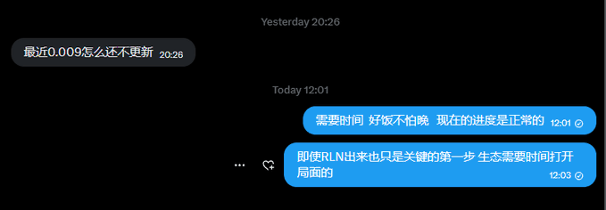 A chat conversation in Chinese, where someone asks '最近0.009怎么还不更新' (Why hasn't 0.009 been updated recently?) and receives replies at 12:01 and 12:03 stating '需要时间 好像不怕晚 现在的进度是正常的' (It takes time, doesn't seem to fear being late, current progress is normal) and '即使RLN出来也只是关键的第一步 生态需要时间打局面' (Even when RLN comes out it's just the first key step, the ecosystem needs time to develop).