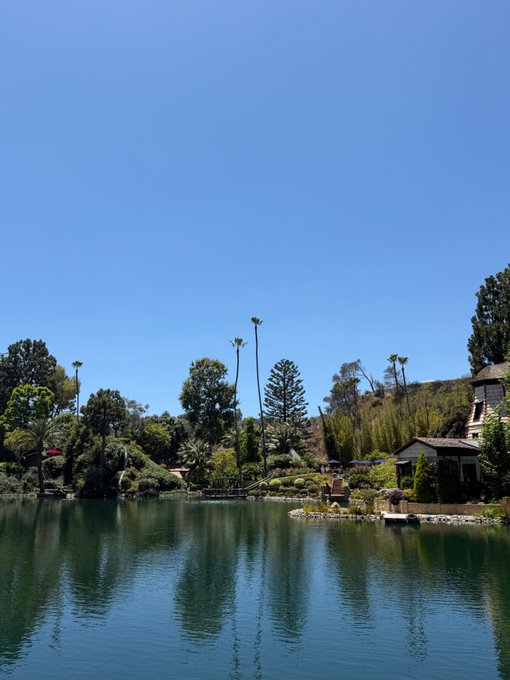 A serene lake with calm, reflective water surrounded by lush green trees, palm trees, and residential buildings under a clear blue sky—a peaceful escape that contrasts with the stressful sentiment of watching the KOSPI plummet while being shilled stock picks online.