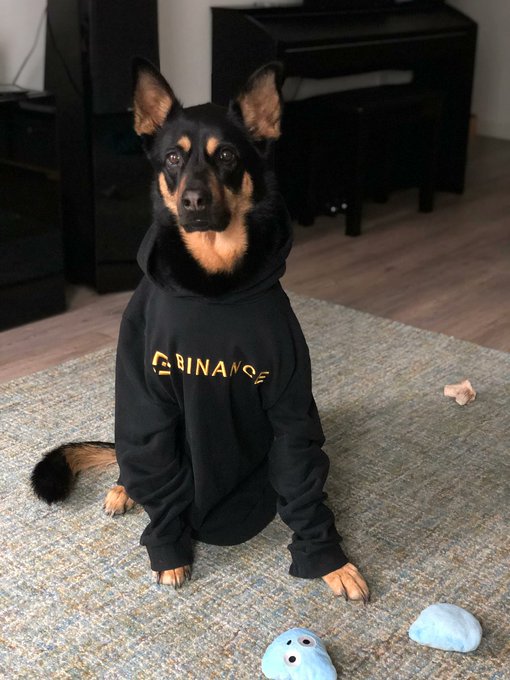 A dog sits on a rug wearing a black hoodie with "BINANCE" printed in gold lettering, accompanying a post about autumn Binance-themed outfits ("#币安 穿搭已就位！"), with playful plush toys scattered nearby.