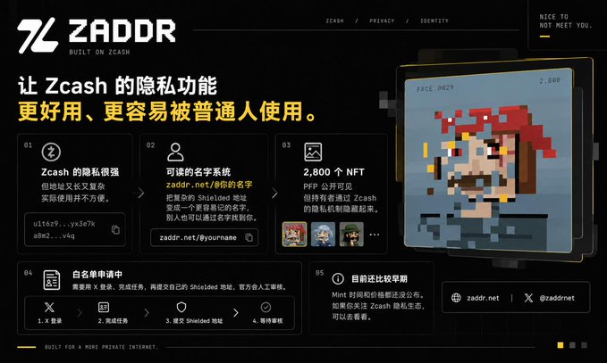 The image is a promotional infographic for ZADDR (zaddr.net), a service built on Zcash that makes the cryptocurrency's privacy features more accessible. It highlights four key offerings: Z (strong Zcash privacy with simplified addresses), a nameless name system (zaddr.net/#), 2,800 NFT public goods available through Zcash mining, white-list applications, and mint comparisons—all presented with Chinese text and featuring a pixel-art NFT character.