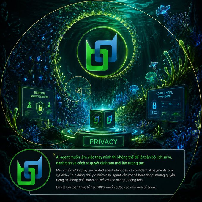 A digital promotional image with an underwater coral reef theme featuring the text 'PRIVACY' and discussing AI agent encrypted identities and confidential payments, including a WhatsApp contact @BeldexCoin.