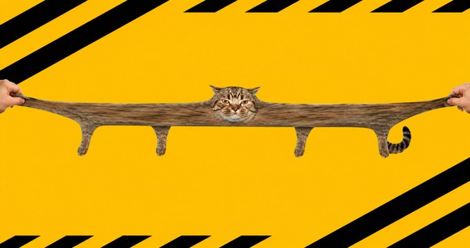 A humorous photo of a tabby cat stretched horizontally between two pairs of hands against a yellow and black caution-tape background, creating the optical illusion of an extremely elongated cat.