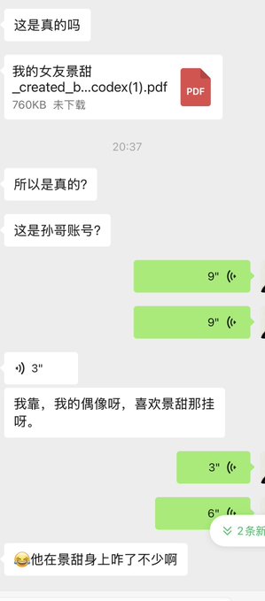 A WeChat conversation showing a young woman excitedly sharing a PDF titled "我的女友景甜_created_b...codex(1).pdf" (760KB, 未下载) with the user, who responds with surprise that she considers "孙哥" (Justin Sun) her idol and notes his interest in Jing Tian. The exchange includes voice messages of 9" and 3" durations, with the user reacting enthusiastically to the idol's crush.