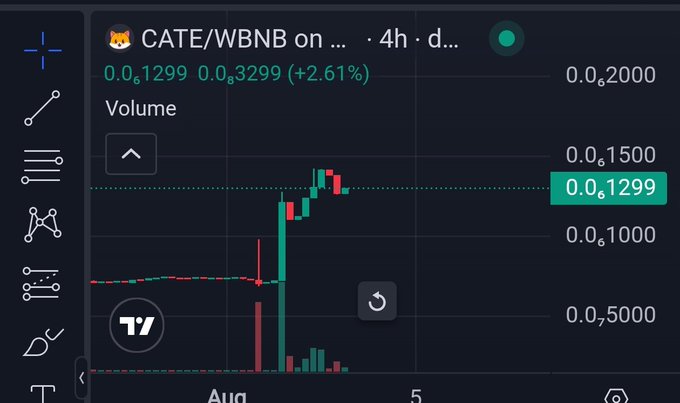 A cryptocurrency trading chart displays the CATE/WBNB trading pair on a 4-hour timeframe, with the current price at 0.0₈1299, showing a modest +2.61% gain, though the candlestick pattern reveals a recent sharp rally from lower levels around 0.0₈75 to current highs. The chart supports the post's bullish prediction, as the visible price action shows a notable pump in the CATE token paired with BNB, aligning with the call for CATE coin to surge toward $100M market cap.