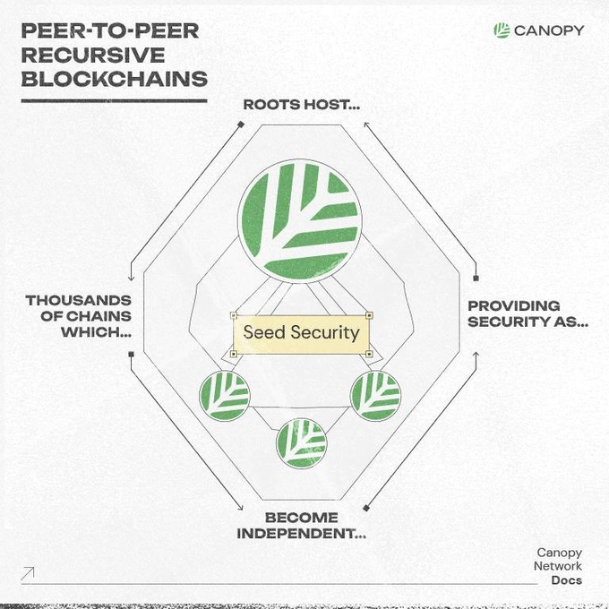An infographic titled "PEER-TO-PEER RECURSIVE BLOCKCHAINS" by Canopy Network, illustrating how roots host thousands of chains providing security for "Seed Security" and become independent.