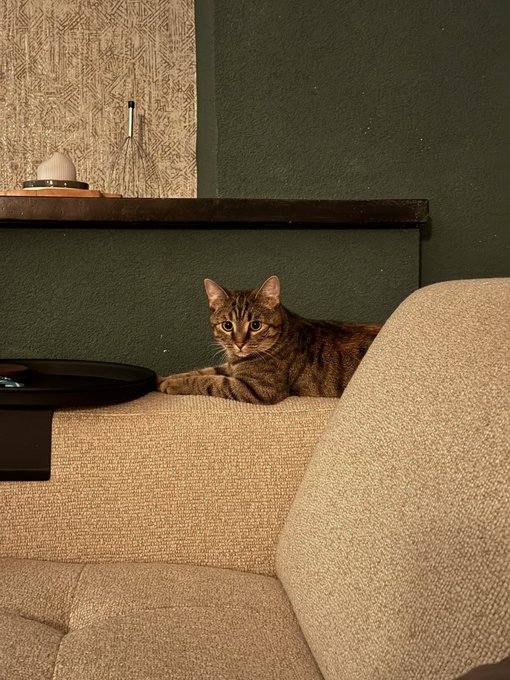 A tabby cat rests on the back of a beige textured sofa in a dimly lit room with dark green walls, with a small side table and decorative items visible in the background.