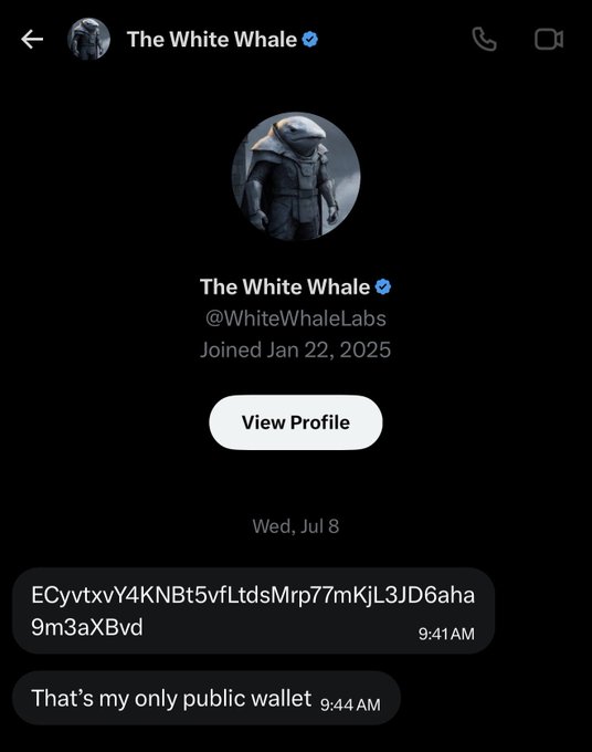 A Twitter/X profile page for 'The White Whale' (@WhiteWhaleLabs), joined Jan 22, 2025, displaying a message containing a cryptocurrency wallet address (ECyvtxvY4KNBt5vfLtdsMrp77mKjL3JD6aha9m3aXBvd) followed by 'That's my only public wallet.'