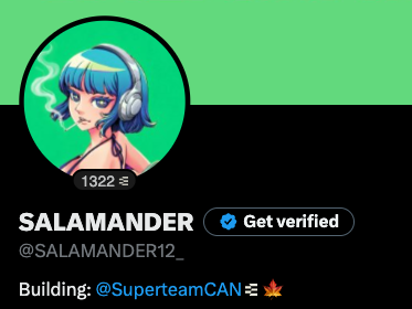 A profile picture and bio for the Twitter/X account '@SALAMANDER12_' featuring an anime-style blue-haired avatar, with the bio reading 'Building: @SuperteamCAN 🍁'.