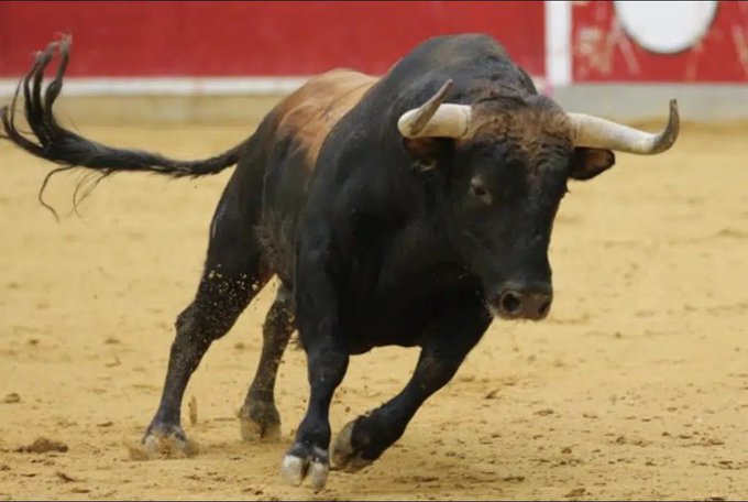 A powerful black bull charges aggressively across a sandy arena, its horns lowered and dust flying—visually capturing the "bullish" sentiment highlighted in the post, where the reference to $INJ (Injective) as the "most bullish chart on the timeline" is symbolized by this archetypal image of a charging bull.