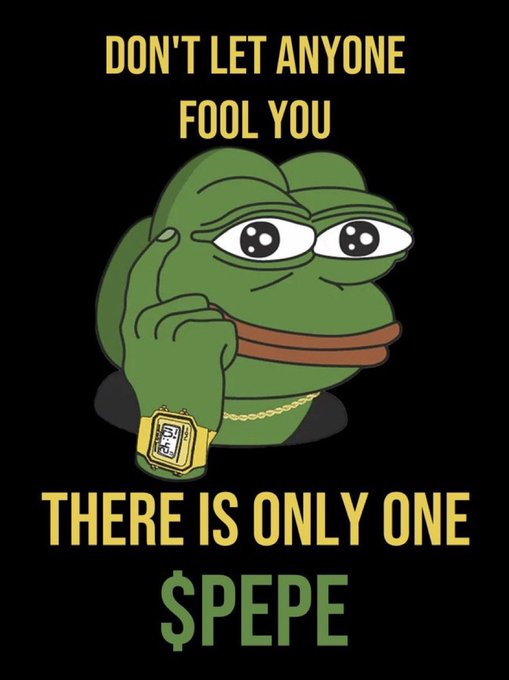 A Pepe the Frog meme wearing a gold chain and watch with text reading 'DON'T LET ANYONE FOOL YOU' at the top and 'THERE IS ONLY ONE $PEPE' at the bottom.
