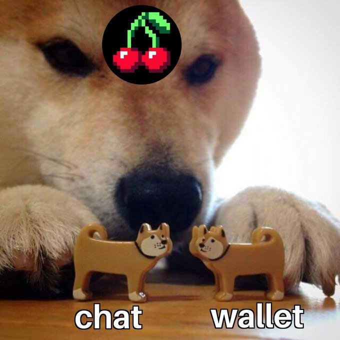 A humorous meme featuring a Shiba Inu dog lying behind two dog-shaped figurines. The text labels them 'chat' and 'wallet', accompanied by a pixel art cherries sticker, referencing a cryptocurrency wallet token.