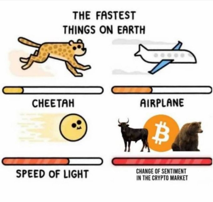 A meme titled 'THE FASTEST THINGS ON EARTH' comparing the speed of a cheetah, airplane, and speed of light, humorously outpaced by 'CHANGE OF SENTIMENT IN THE CRYPTO MARKET' featuring bull, Bitcoin, and bear icons.