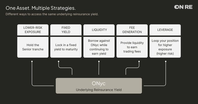 A diagram titled 'One Asset, Multiple Strategies' from ON RE explaining five ways to access the underlying reinsurance yield of ONyc: Lower-Risk Exposure (Senior tranche), Fixed Yield (maturity), Liquidity (borrow), Fee Generation (liquidity), and Leverage (loop for higher exposure).